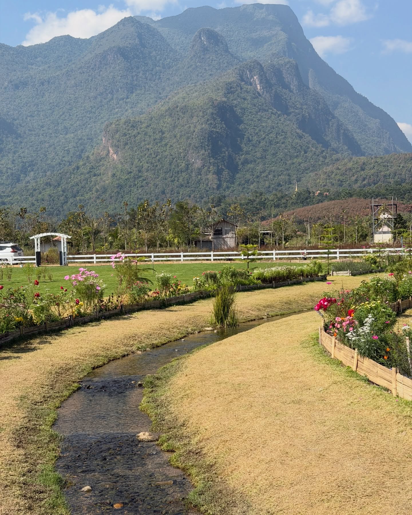 มิ้นต์ - ชาลิดา วิจิตรวงศ์ทอง