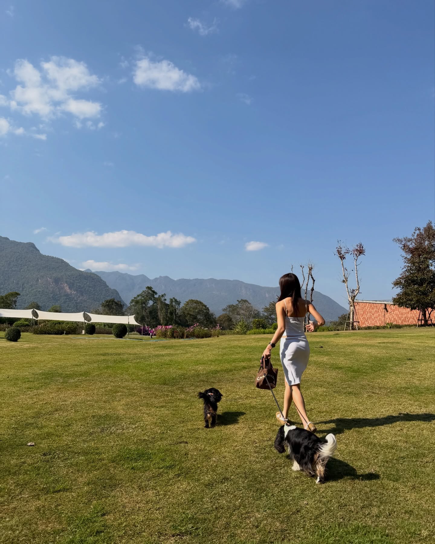 มิ้นต์ - ชาลิดา วิจิตรวงศ์ทอง