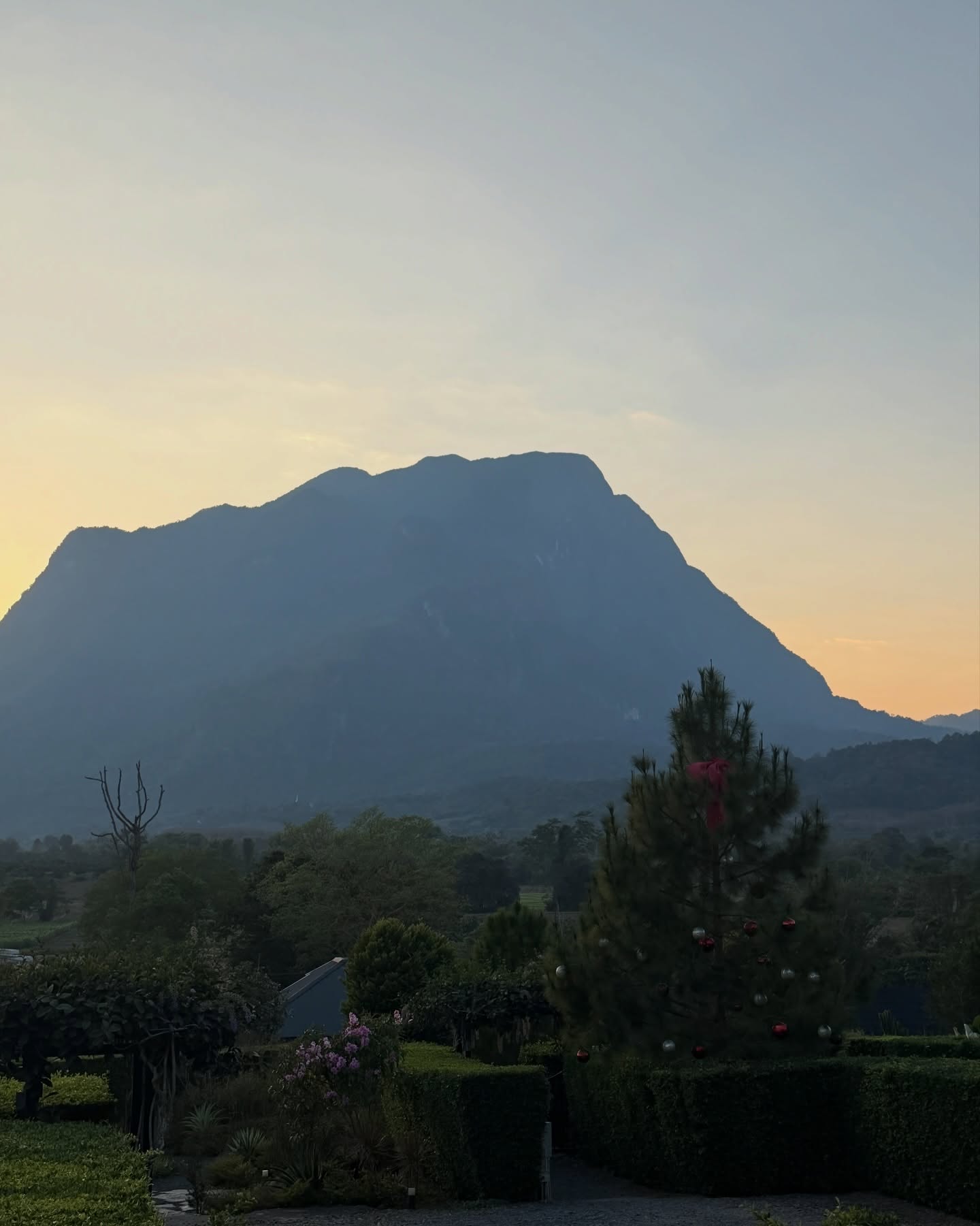 มิ้นต์ - ชาลิดา วิจิตรวงศ์ทอง