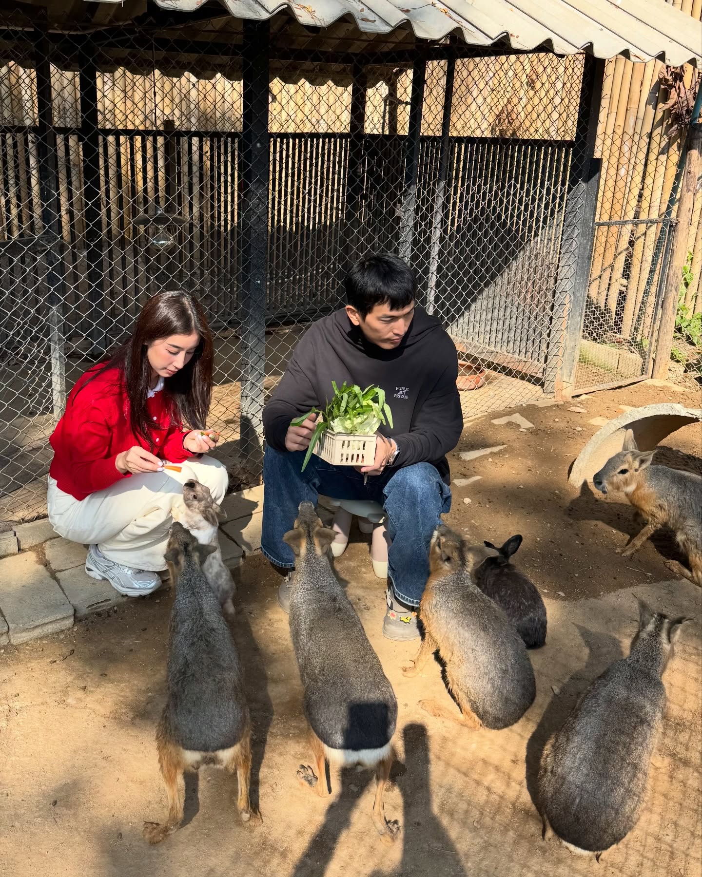 มิ้นต์ - ชาลิดา วิจิตรวงศ์ทอง