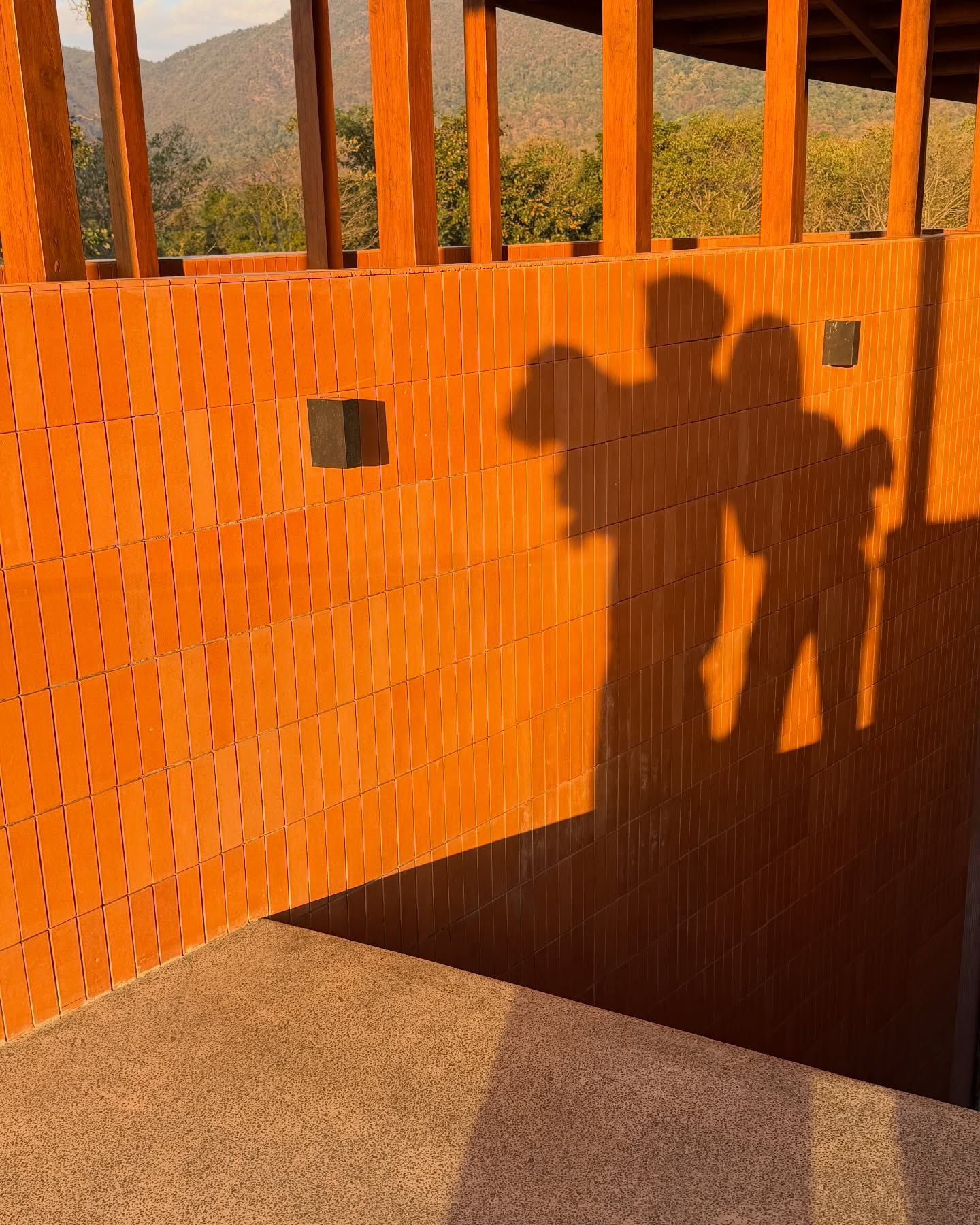 มิ้นต์ - ชาลิดา วิจิตรวงศ์ทอง