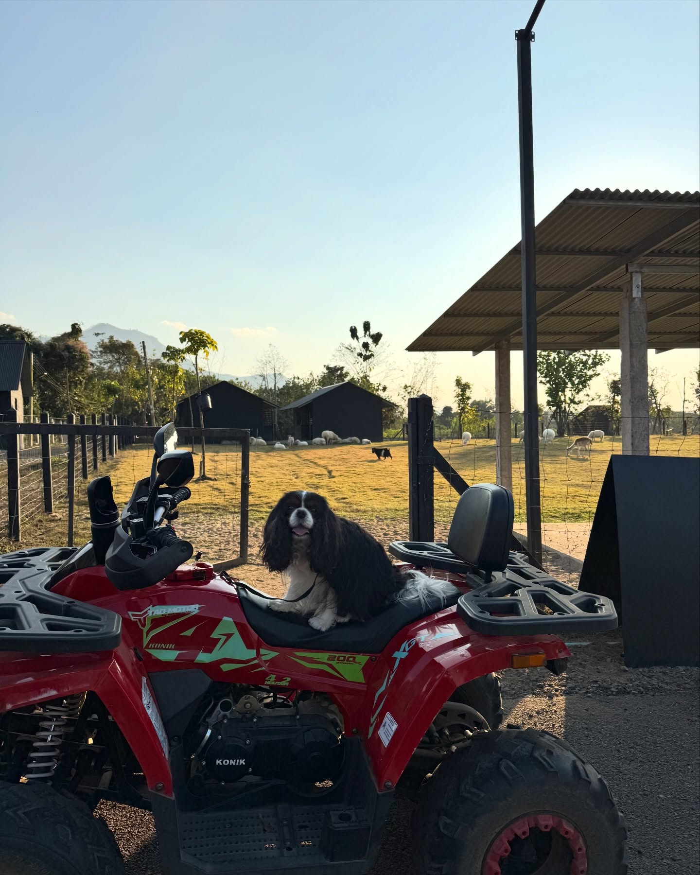 มิ้นต์ - ชาลิดา วิจิตรวงศ์ทอง