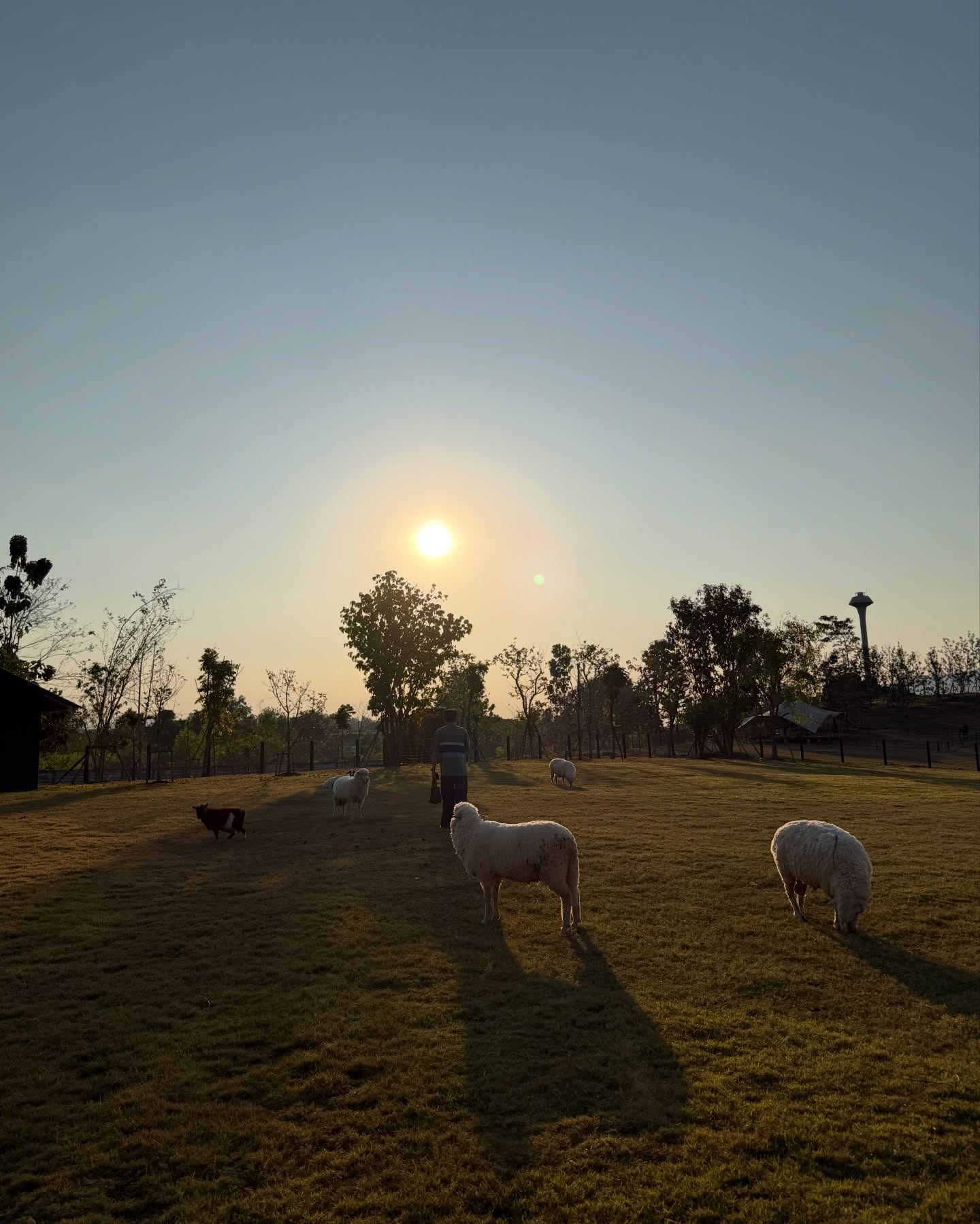 มิ้นต์ - ชาลิดา วิจิตรวงศ์ทอง
