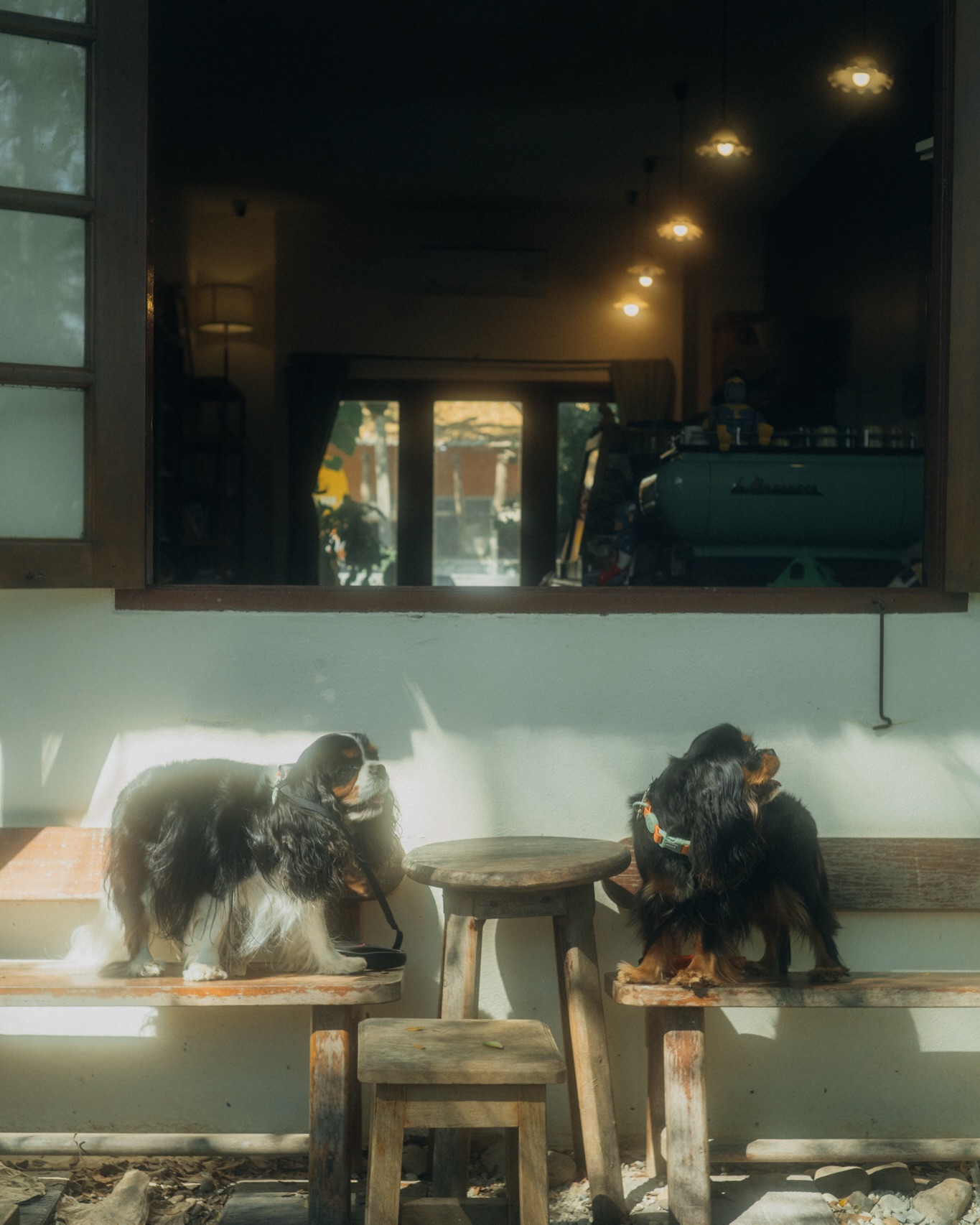 มิ้นต์ - ชาลิดา วิจิตรวงศ์ทอง