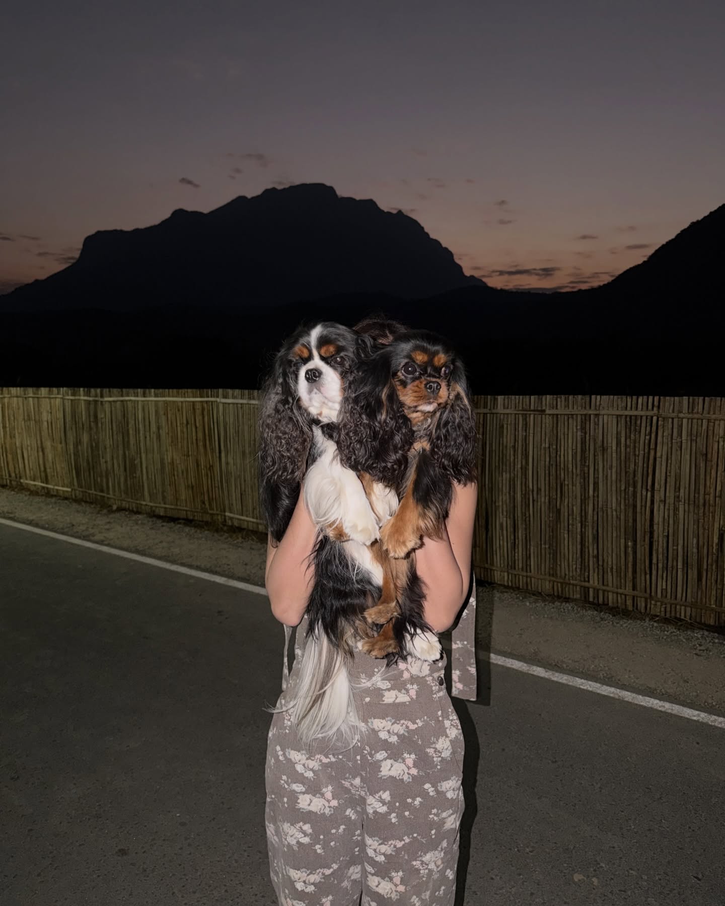 มิ้นต์ - ชาลิดา วิจิตรวงศ์ทอง