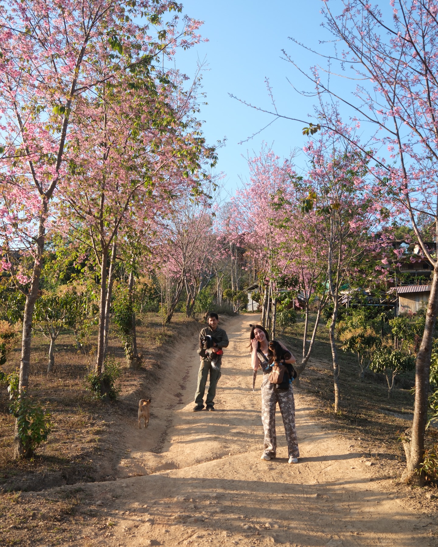มิ้นต์ - ชาลิดา วิจิตรวงศ์ทอง