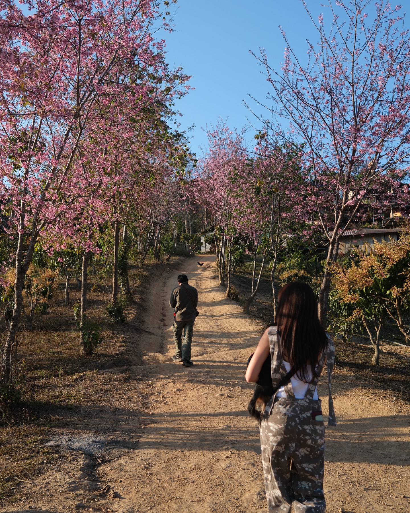 มิ้นต์ - ชาลิดา วิจิตรวงศ์ทอง