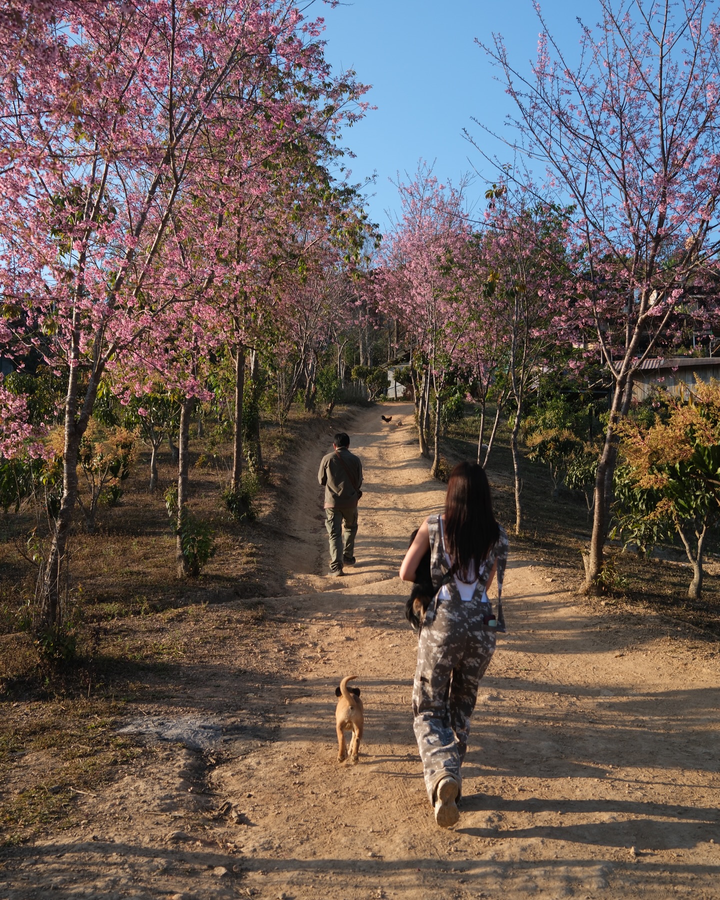 มิ้นต์ - ชาลิดา วิจิตรวงศ์ทอง
