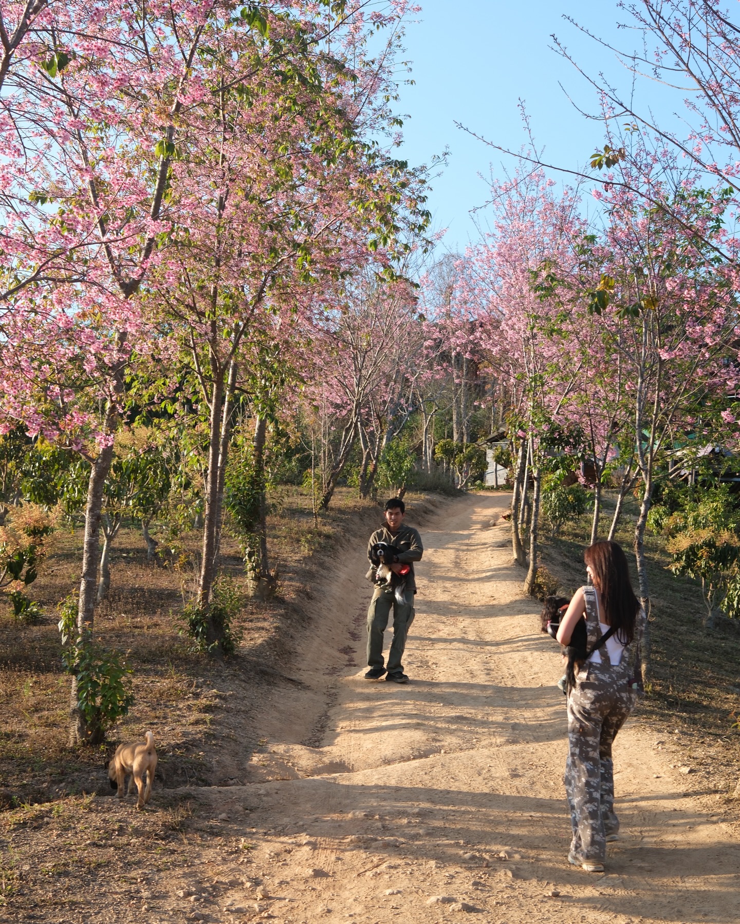 มิ้นต์ - ชาลิดา วิจิตรวงศ์ทอง