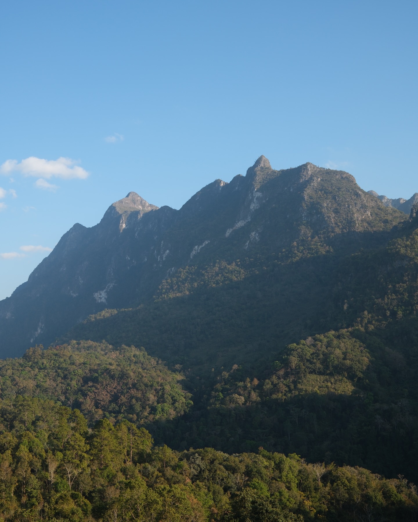 มิ้นต์ - ชาลิดา วิจิตรวงศ์ทอง