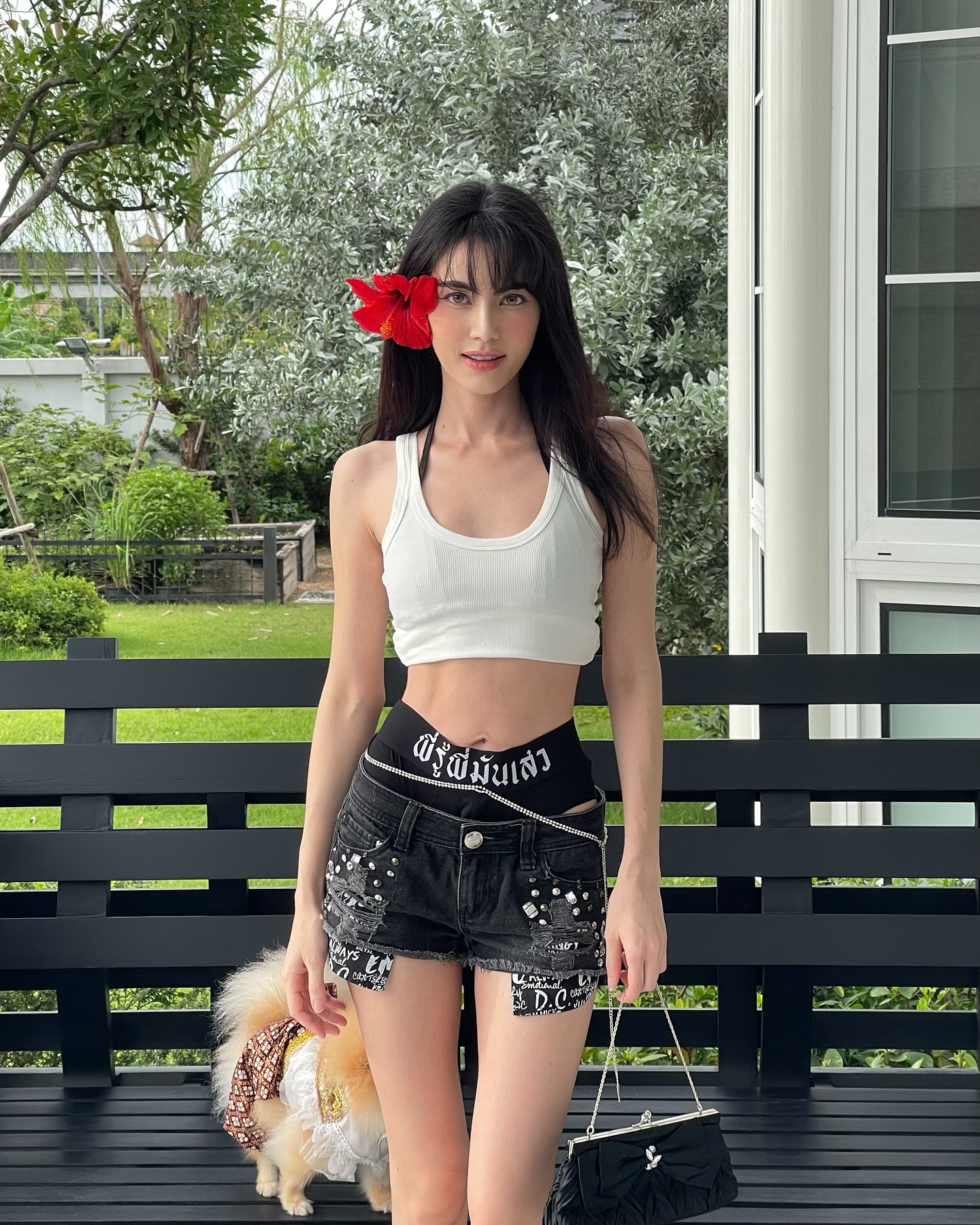 ใหม่ - ดาวิกา โฮร์เน่