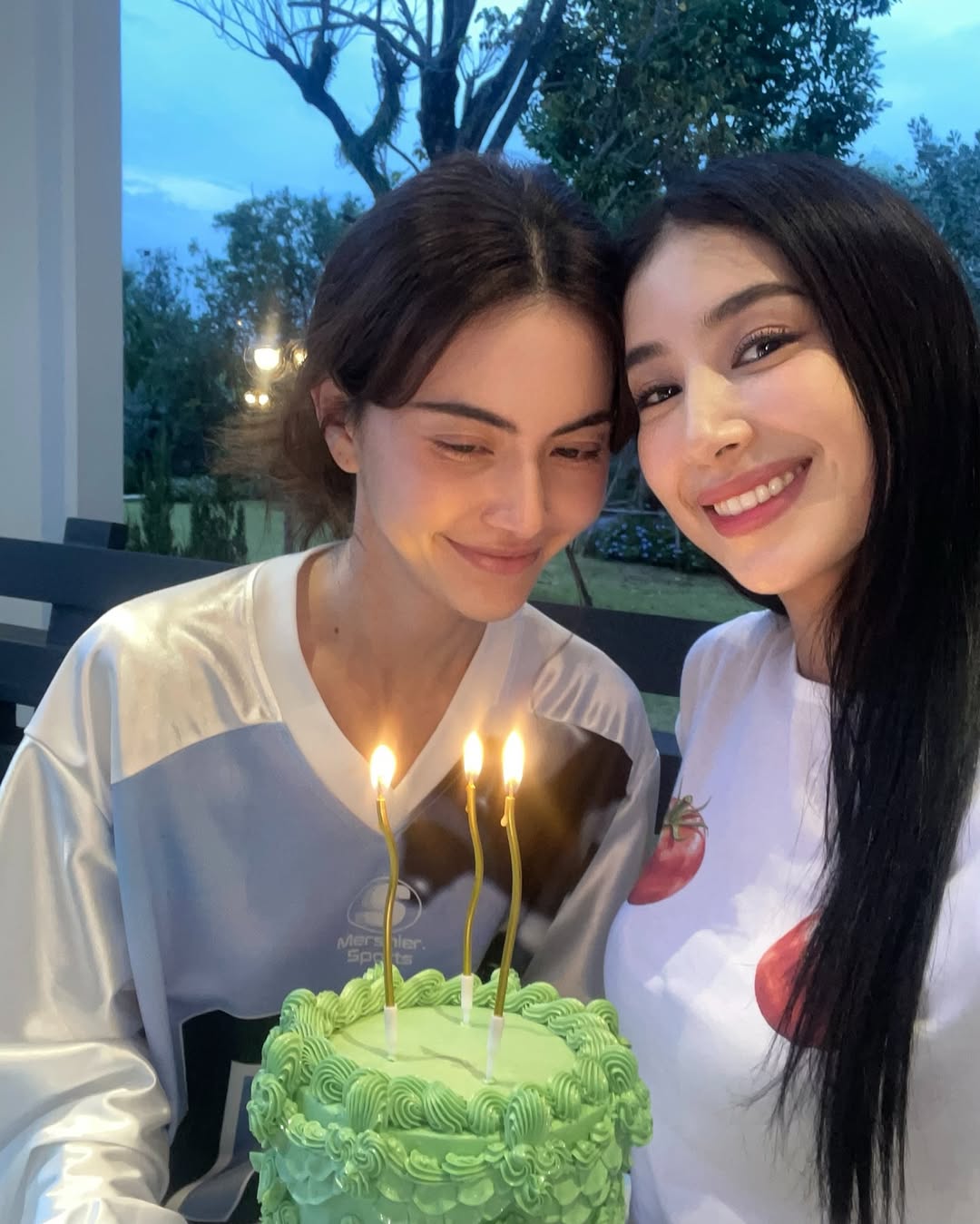 ใหม่ - ดาวิกา โฮร์เน่