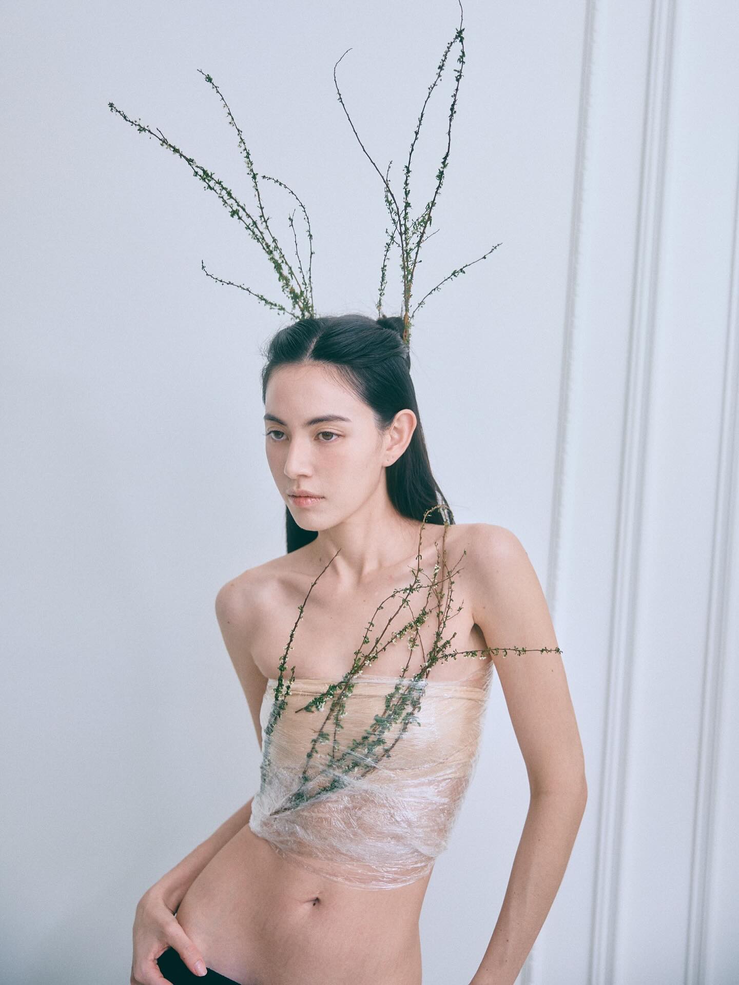 ใหม่ - ดาวิกา โฮร์เน่