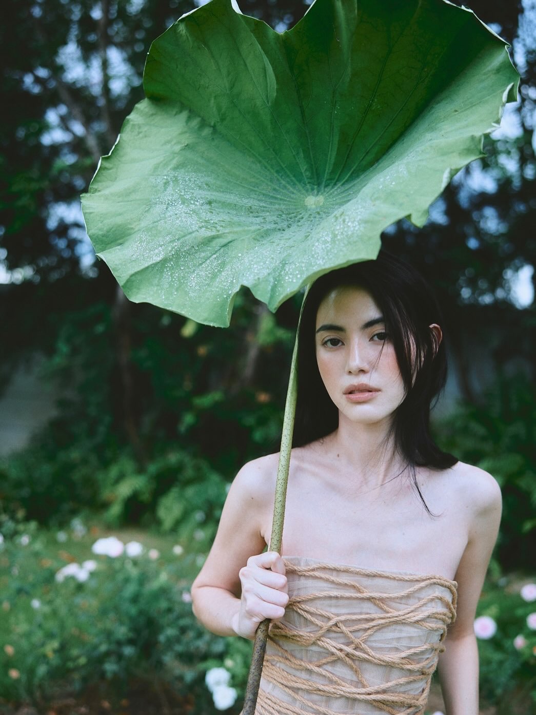 ใหม่ - ดาวิกา โฮร์เน่