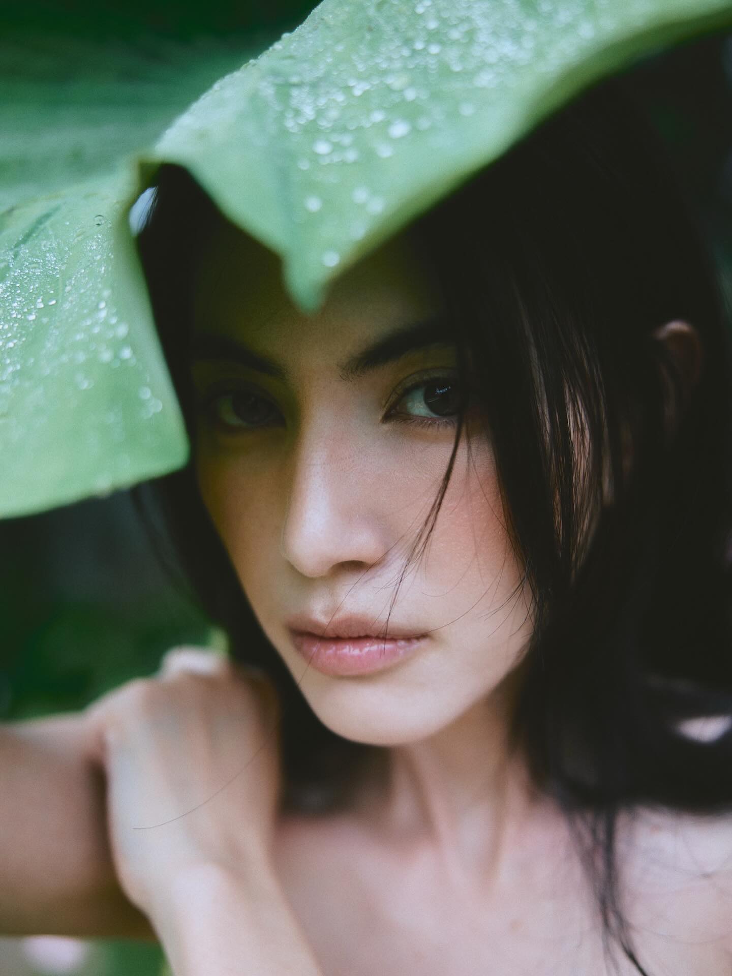 ใหม่ - ดาวิกา โฮร์เน่