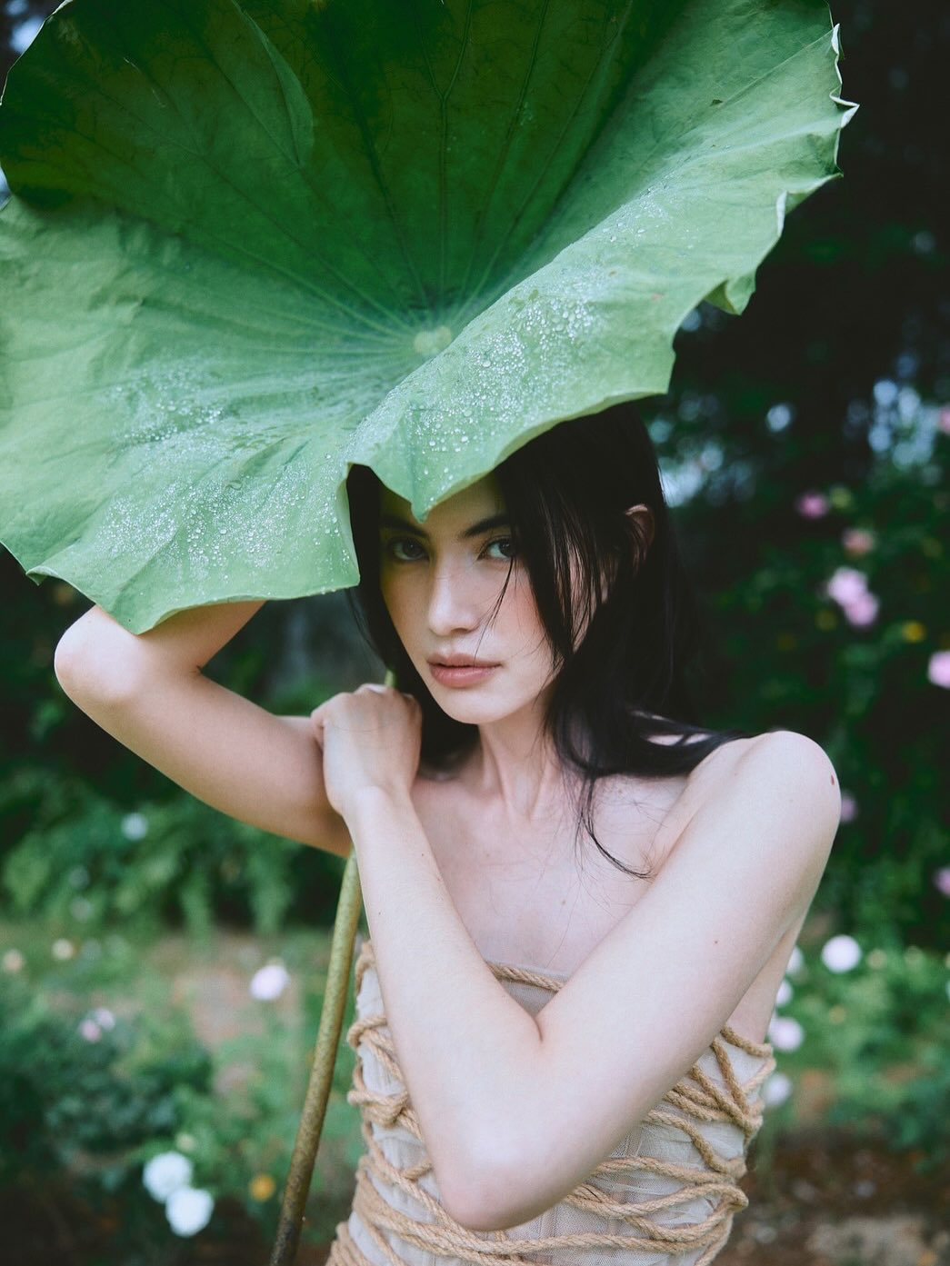 ใหม่ - ดาวิกา โฮร์เน่