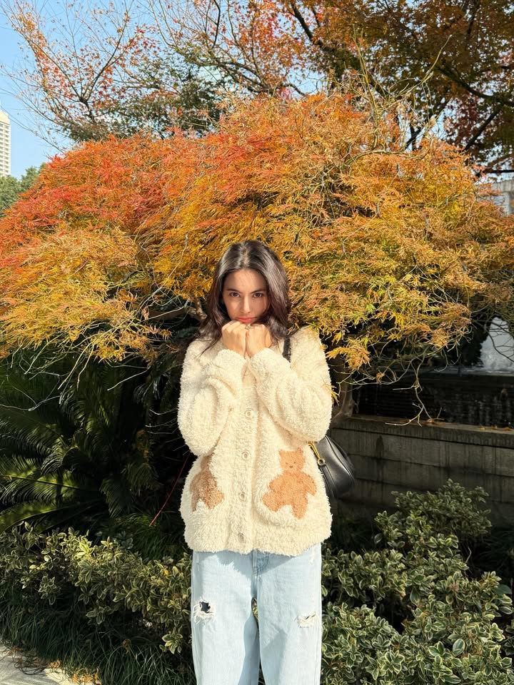 ใหม่ - ดาวิกา โฮร์เน่