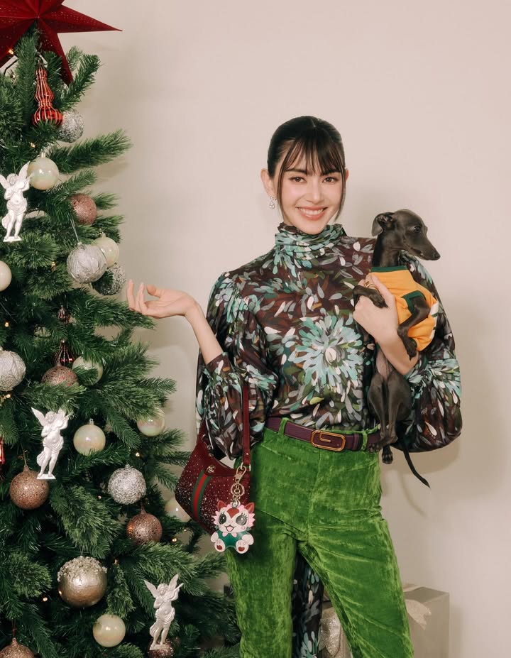 ใหม่ - ดาวิกา โฮร์เน่