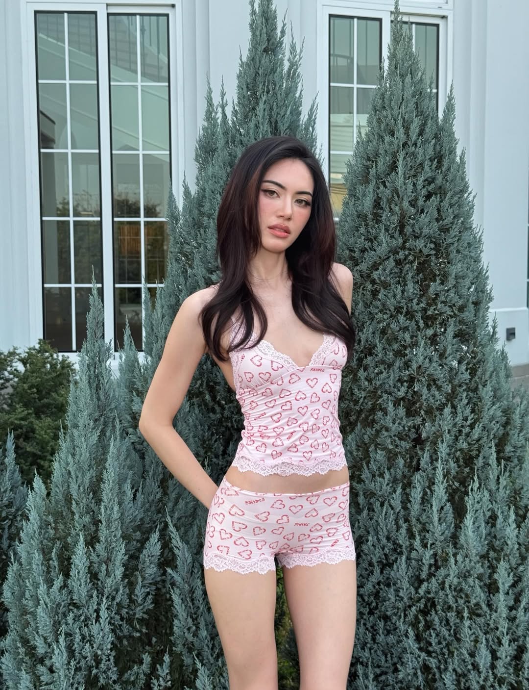 ใหม่ - ดาวิกา โฮร์เน่