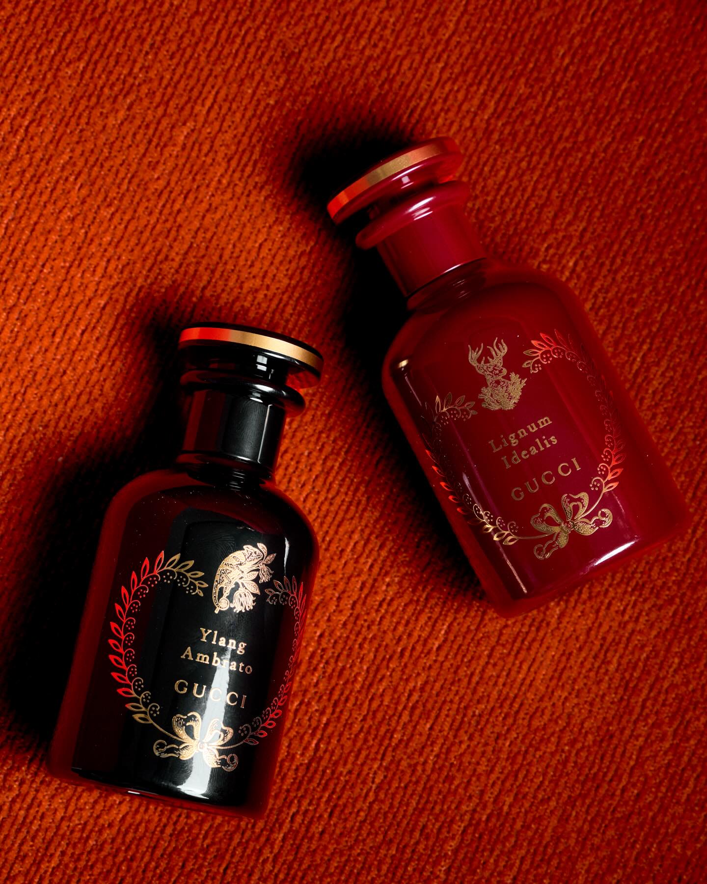 ใหม่ - ดาวิกา โฮร์เน่