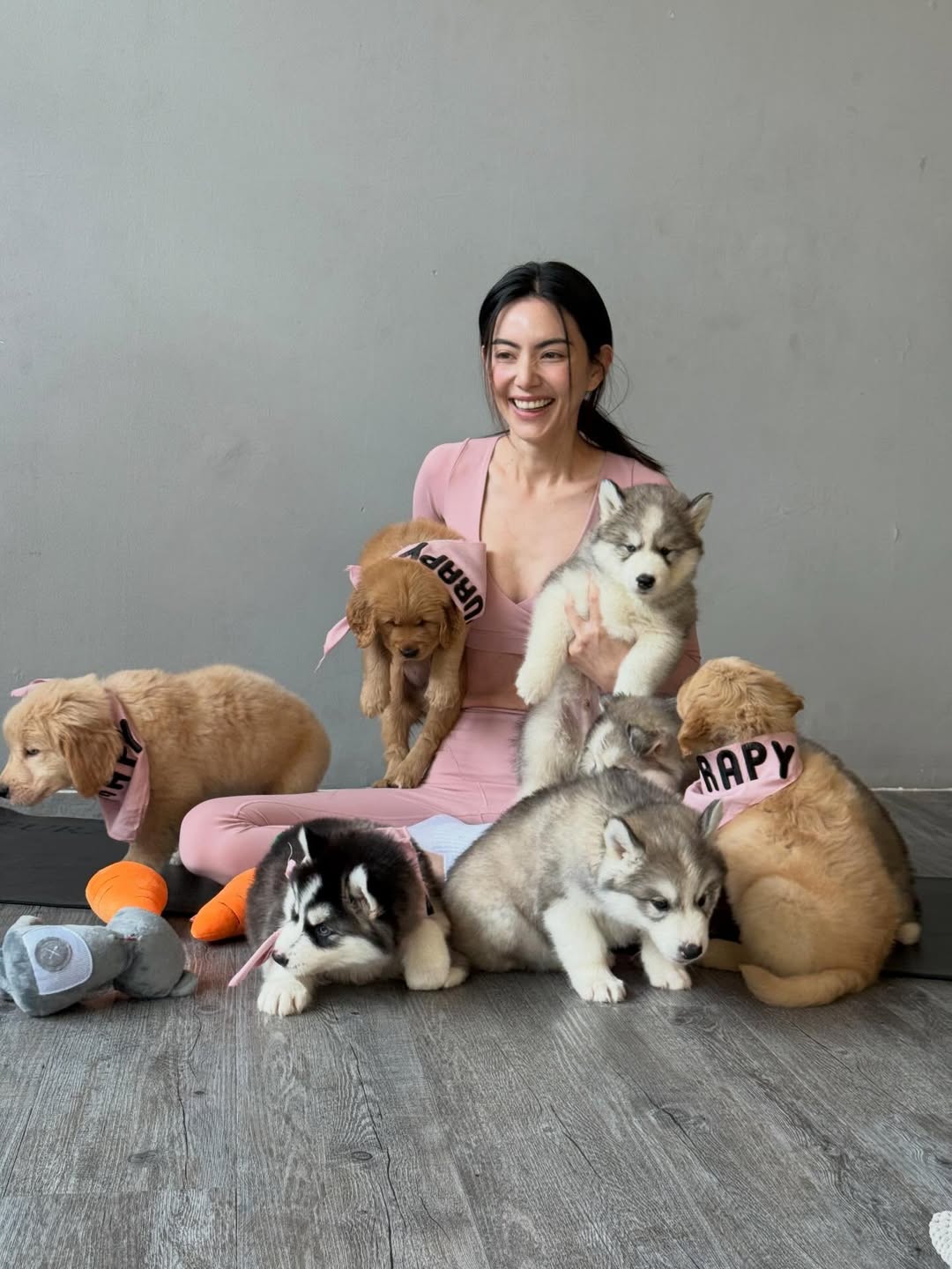 ใหม่ - ดาวิกา โฮร์เน่