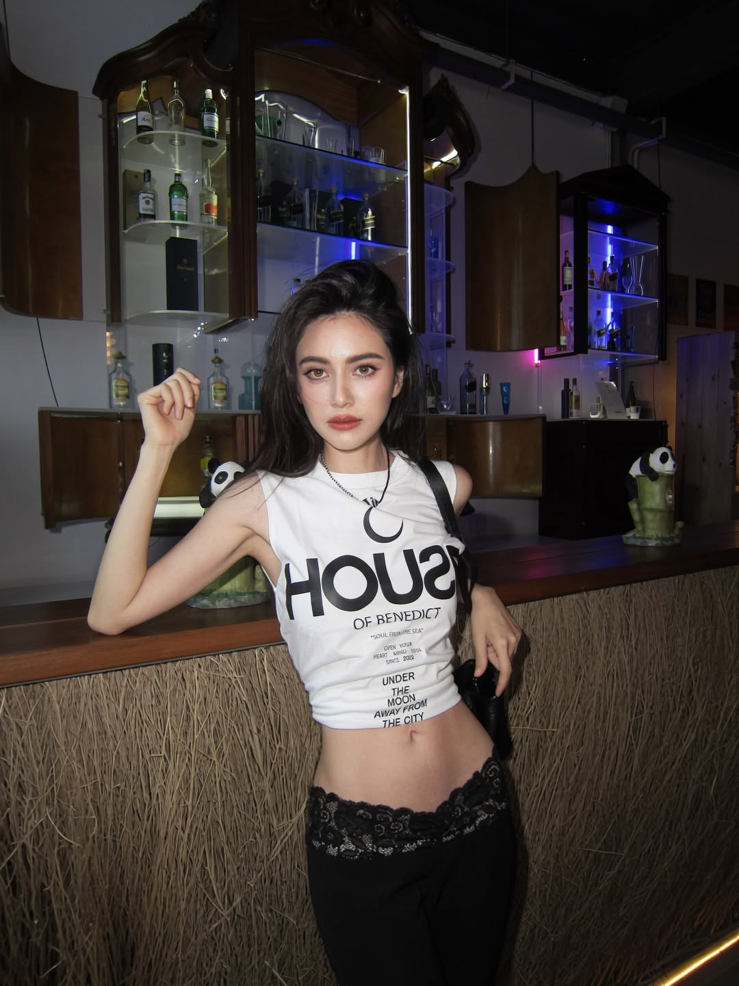 ใหม่ - ดาวิกา โฮร์เน่
