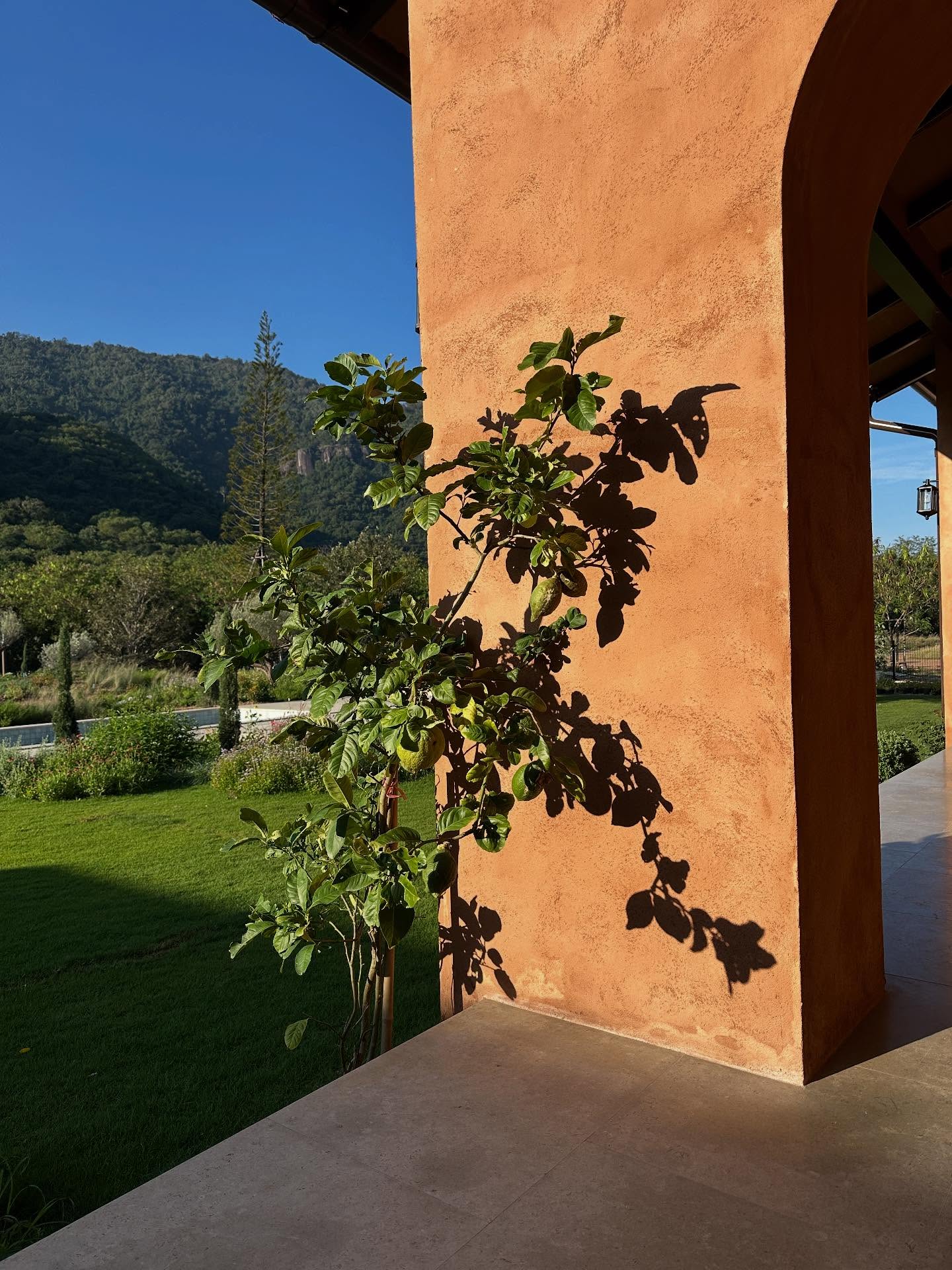 ญาญ่า - อุรัสยา เสปอร์บันด์