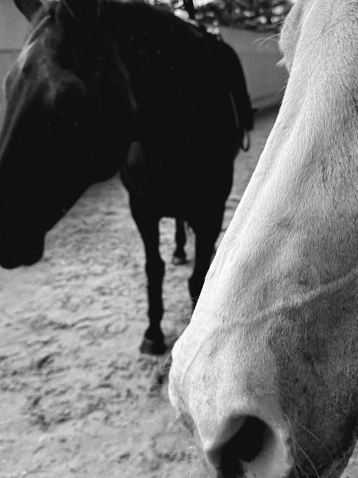 ญาญ่า - อุรัสยา เสปอร์บันด์