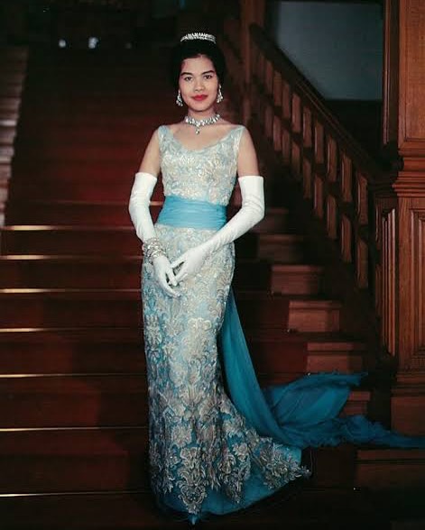 เมย์ - พิชญ์นาฏ สาขากร