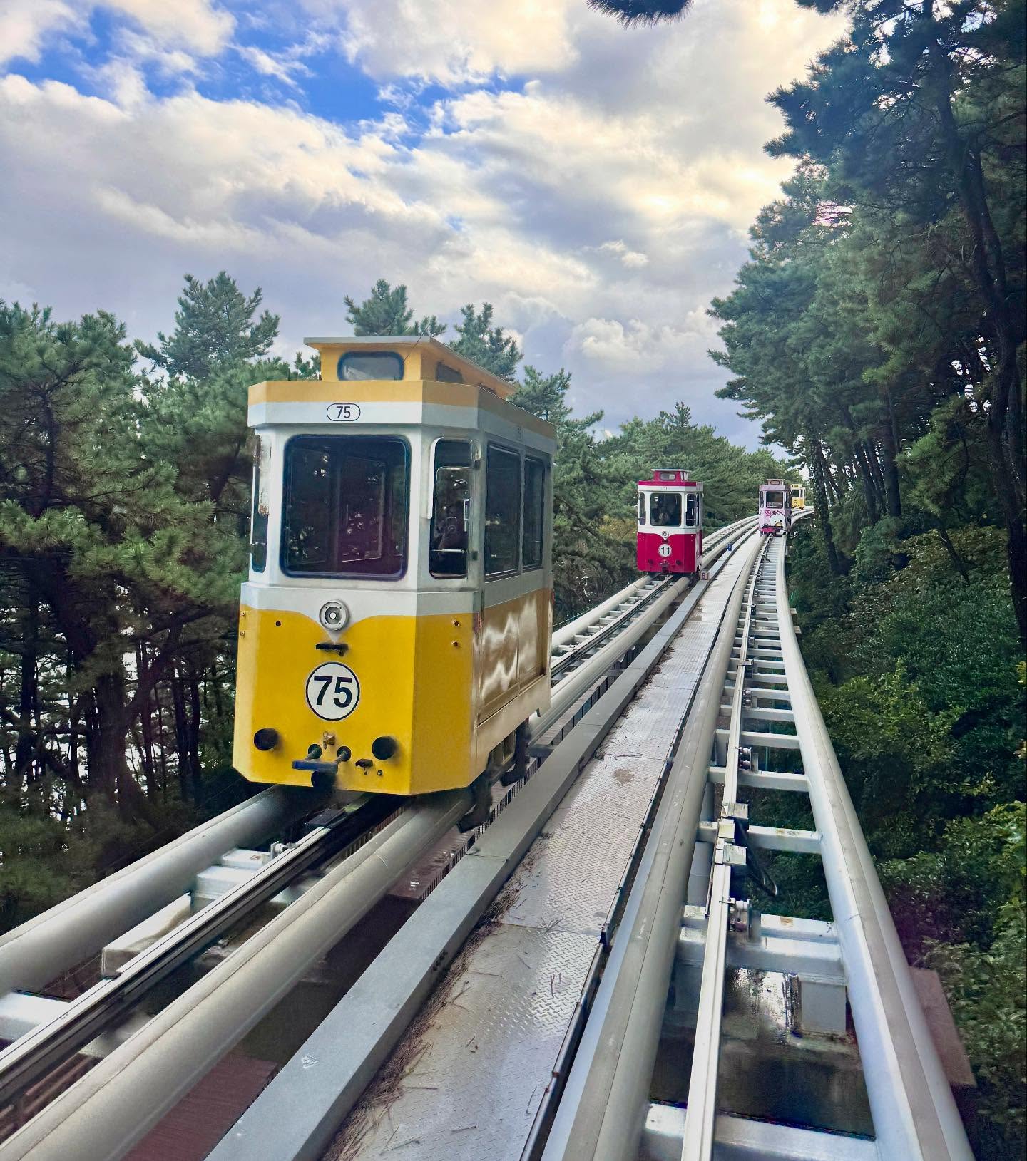 เมย์ - พิชญ์นาฏ สาขากร