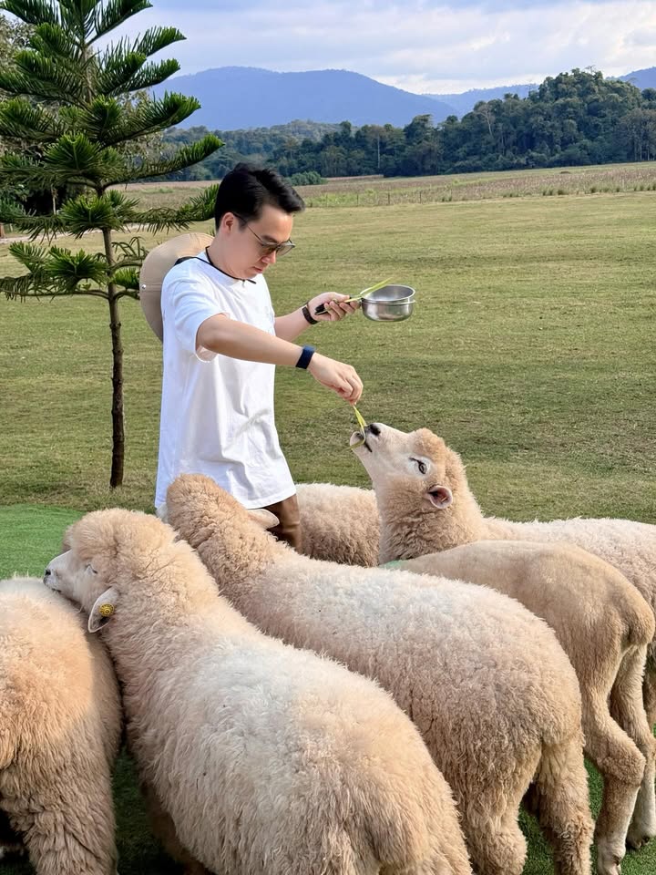 เมย์ - พิชญ์นาฏ สาขากร