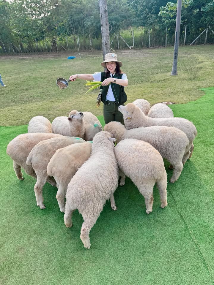 เมย์ - พิชญ์นาฏ สาขากร