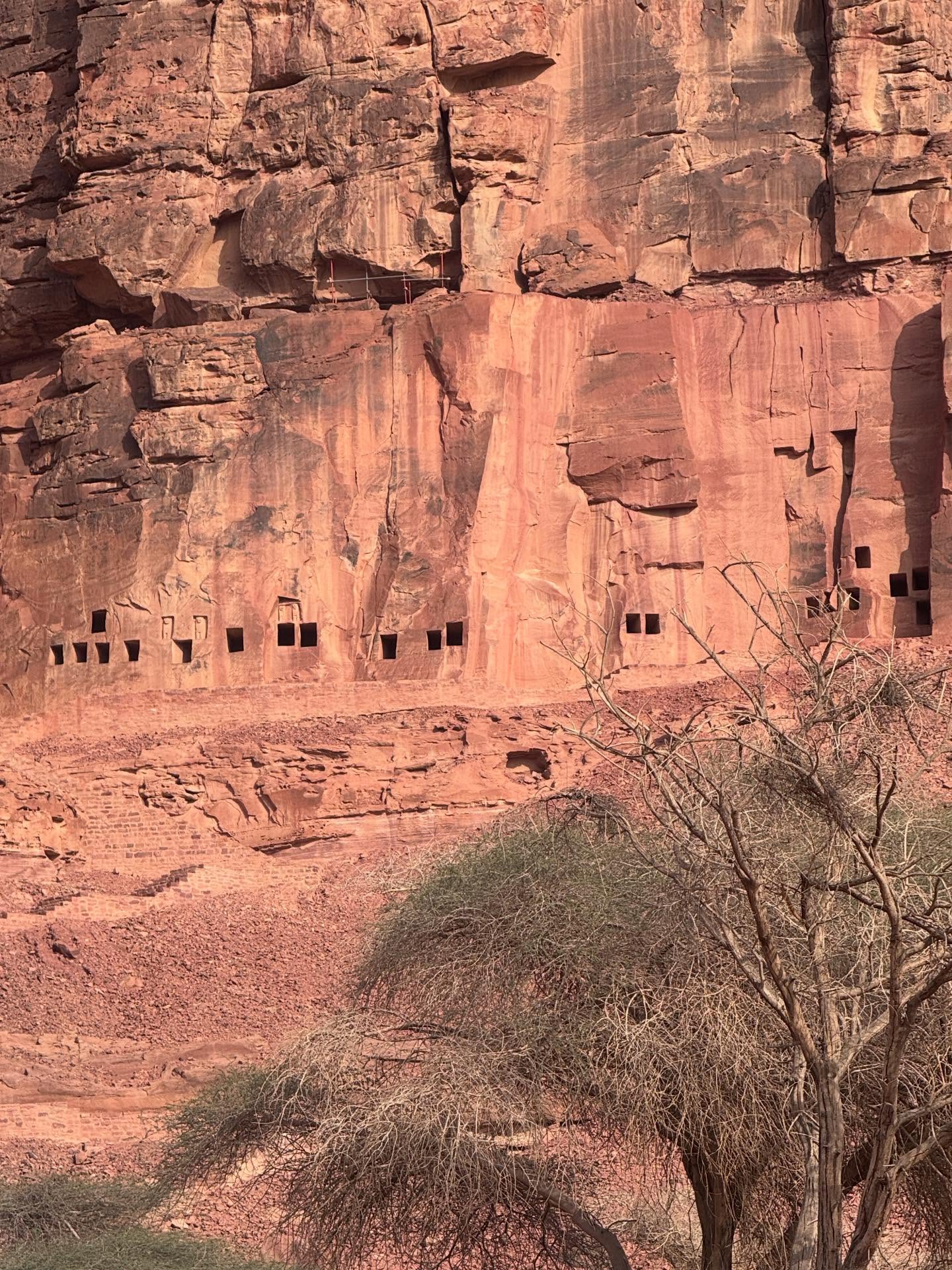 เมย์ - พิชญ์นาฏ สาขากร