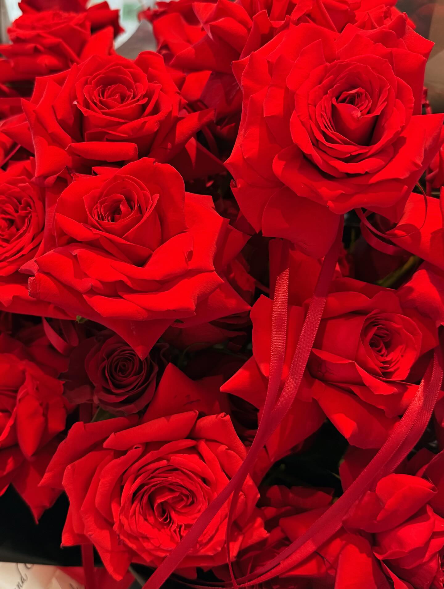 เมย์ - พิชญ์นาฏ สาขากร