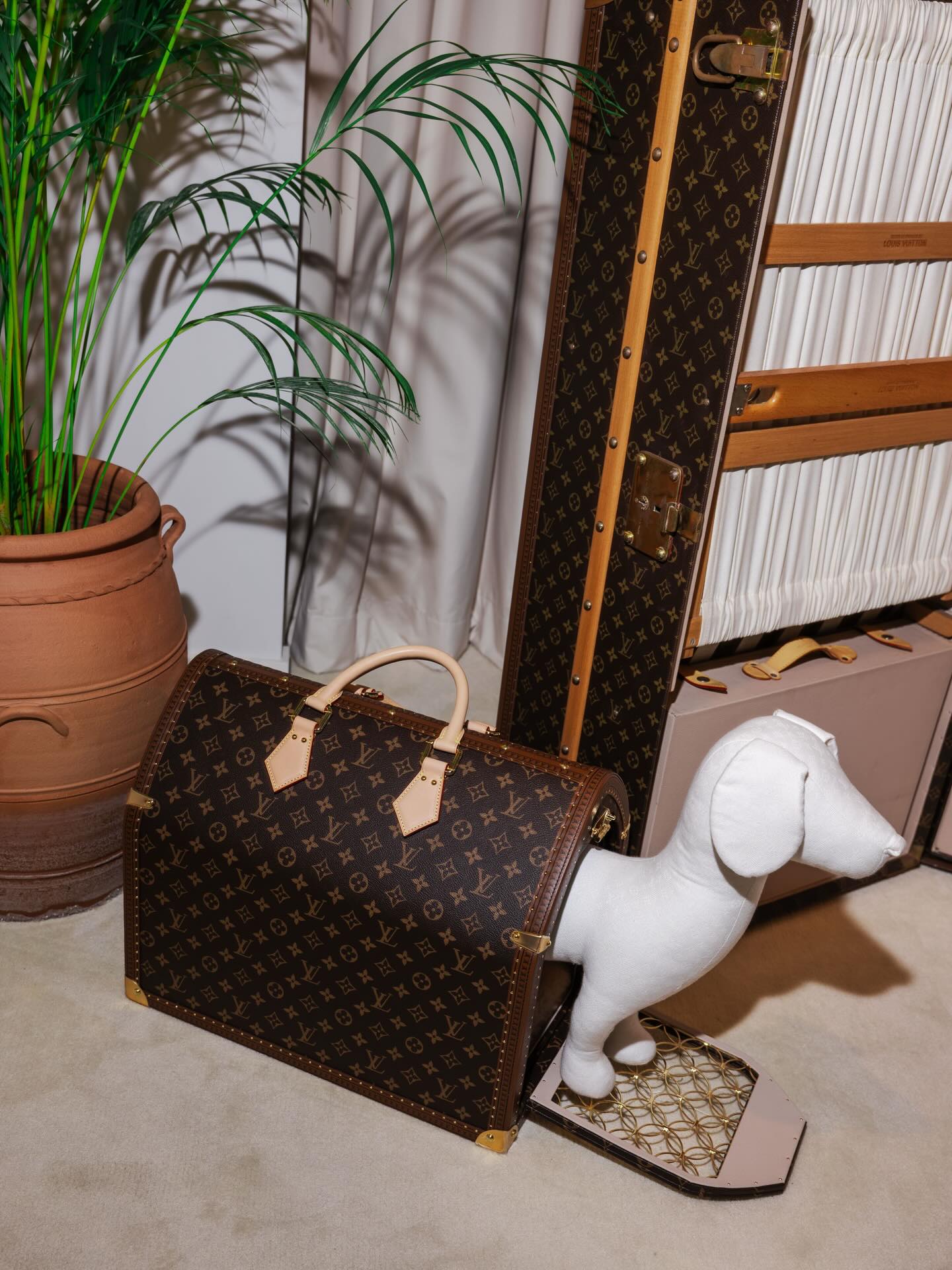 เมย์ - พิชญ์นาฏ สาขากร