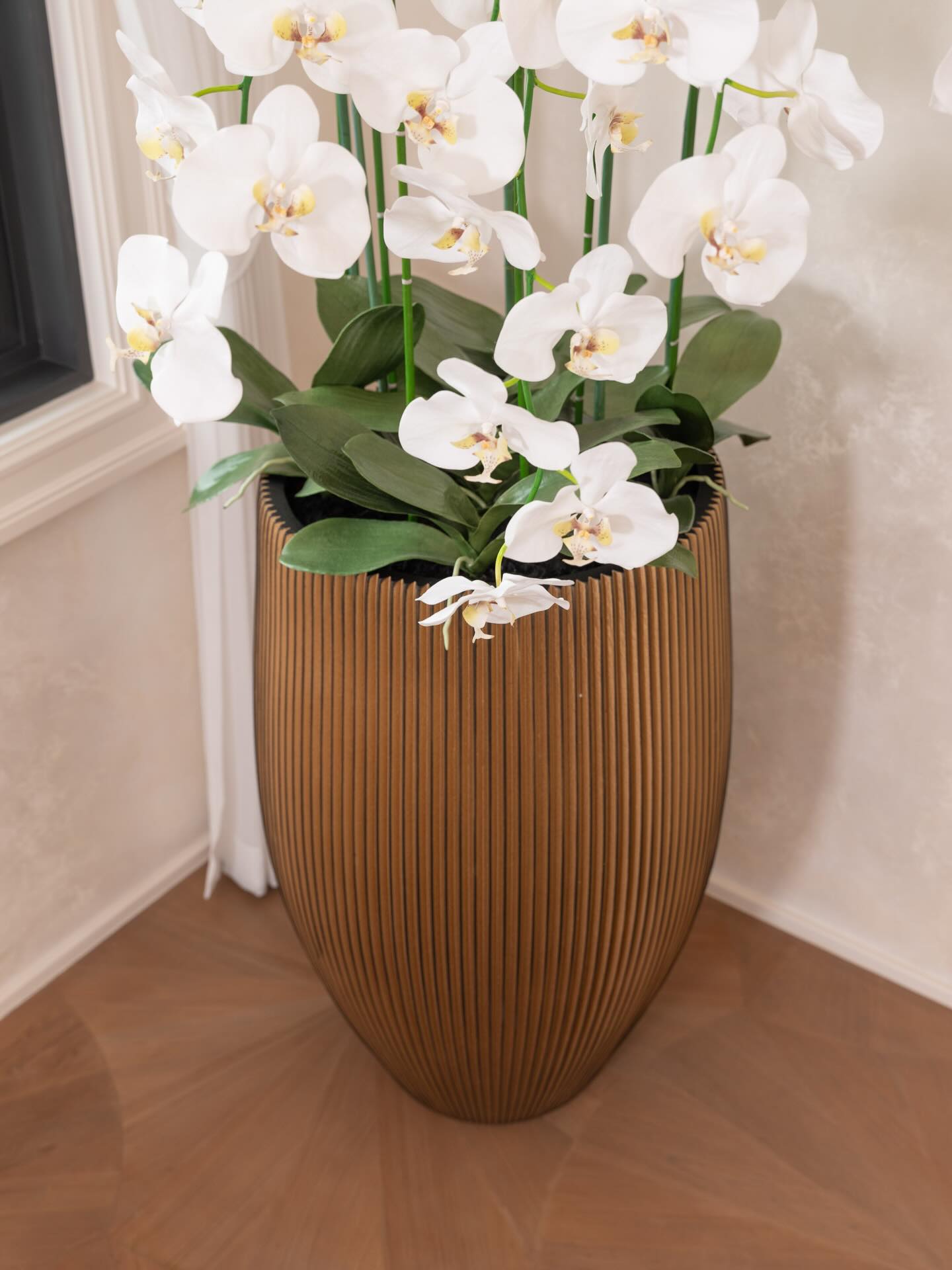 เมย์ - พิชญ์นาฏ สาขากร