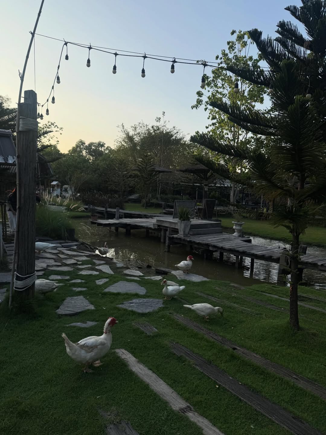 เวฟ - ธนภัทร ตันสกุล