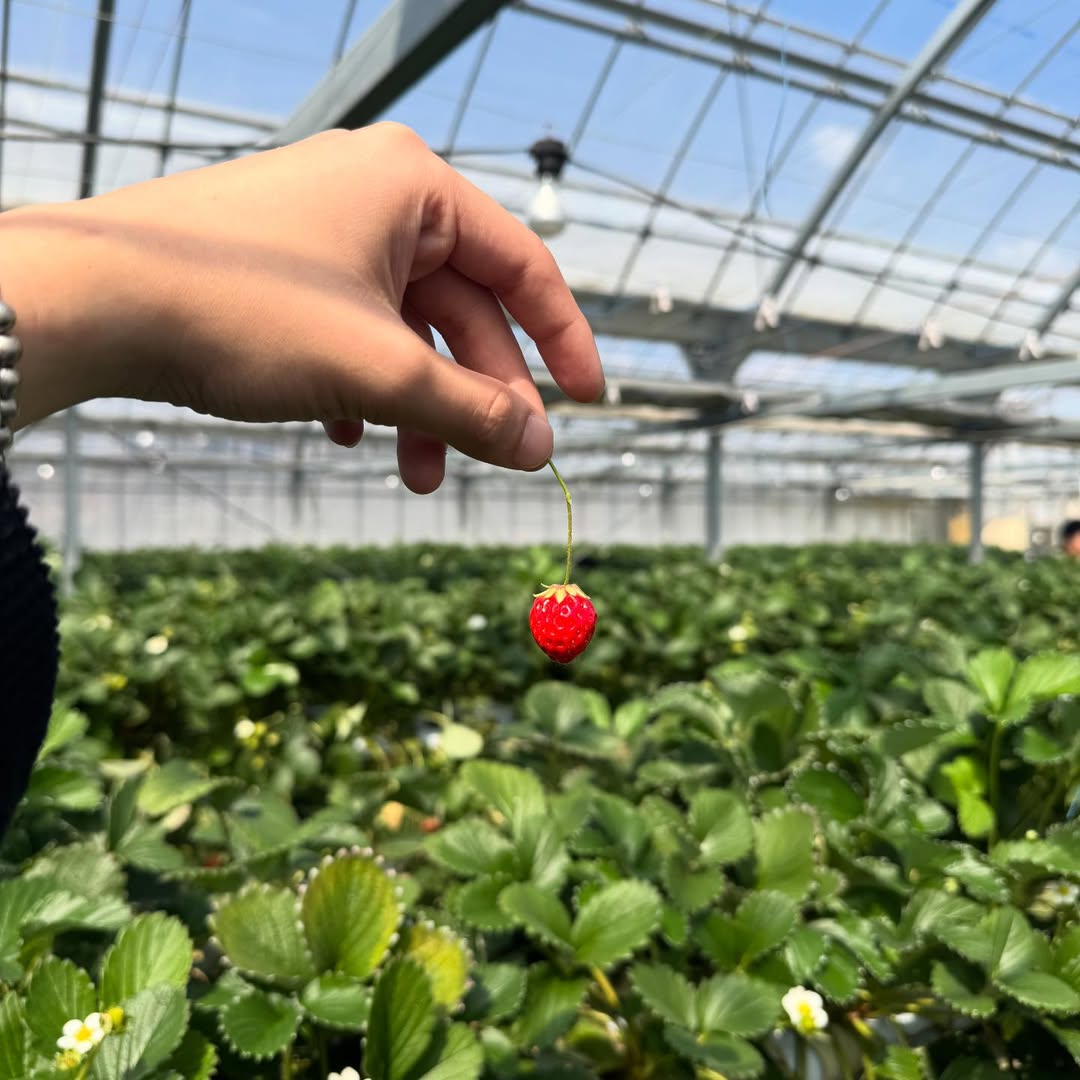 เวฟ - ธนภัทร ตันสกุล