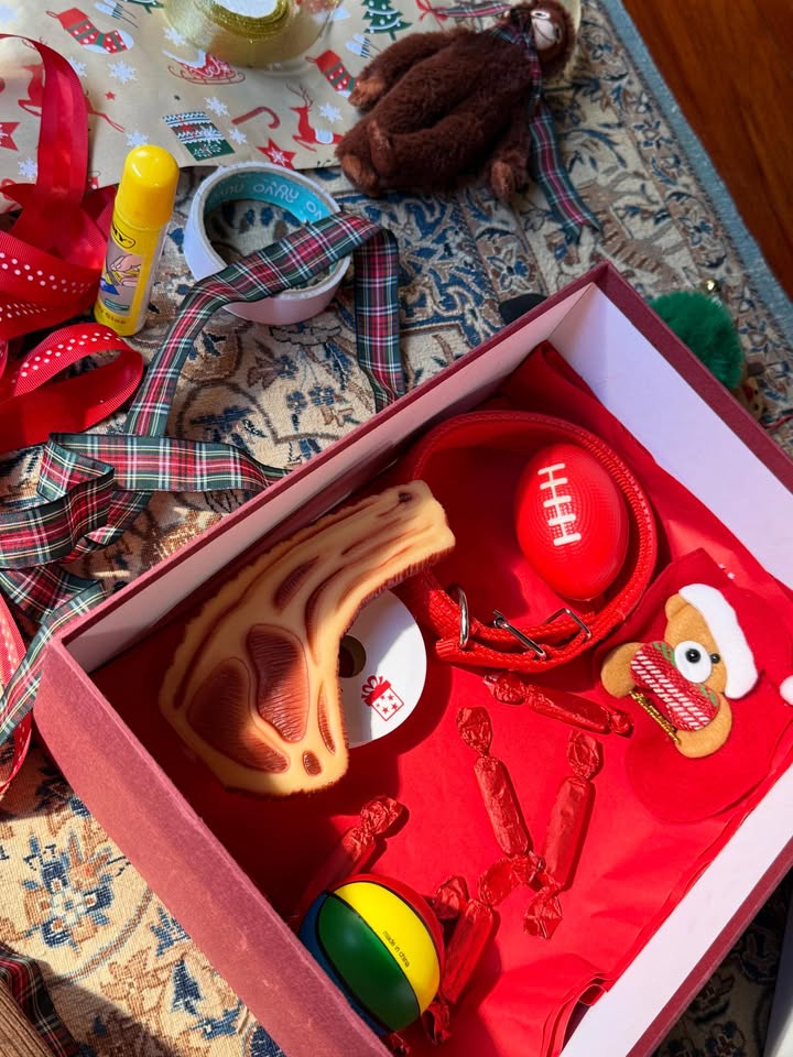 ปอนด์ - ณราวิชญ์ เลิศรัตน์โกสุมภ์