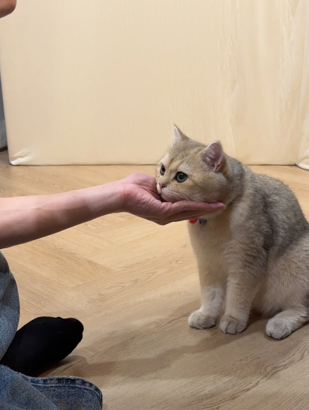 ปอนด์ - ณราวิชญ์ เลิศรัตน์โกสุมภ์