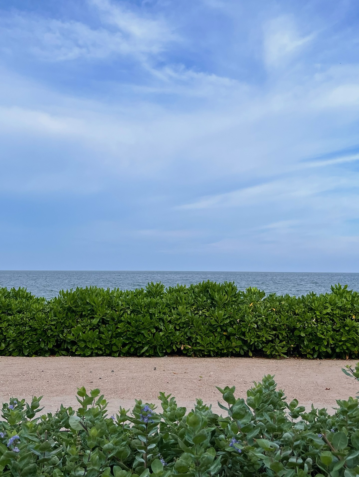 ขุน - ชานนท์ อักขระชาตะ