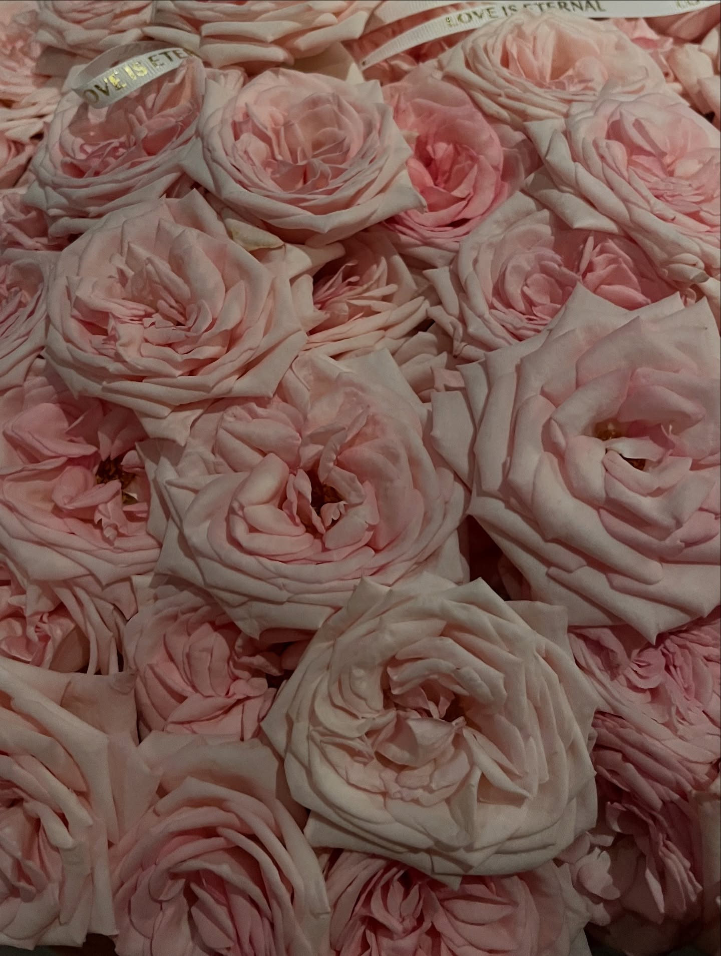 ขุน - ชานนท์ อักขระชาตะ