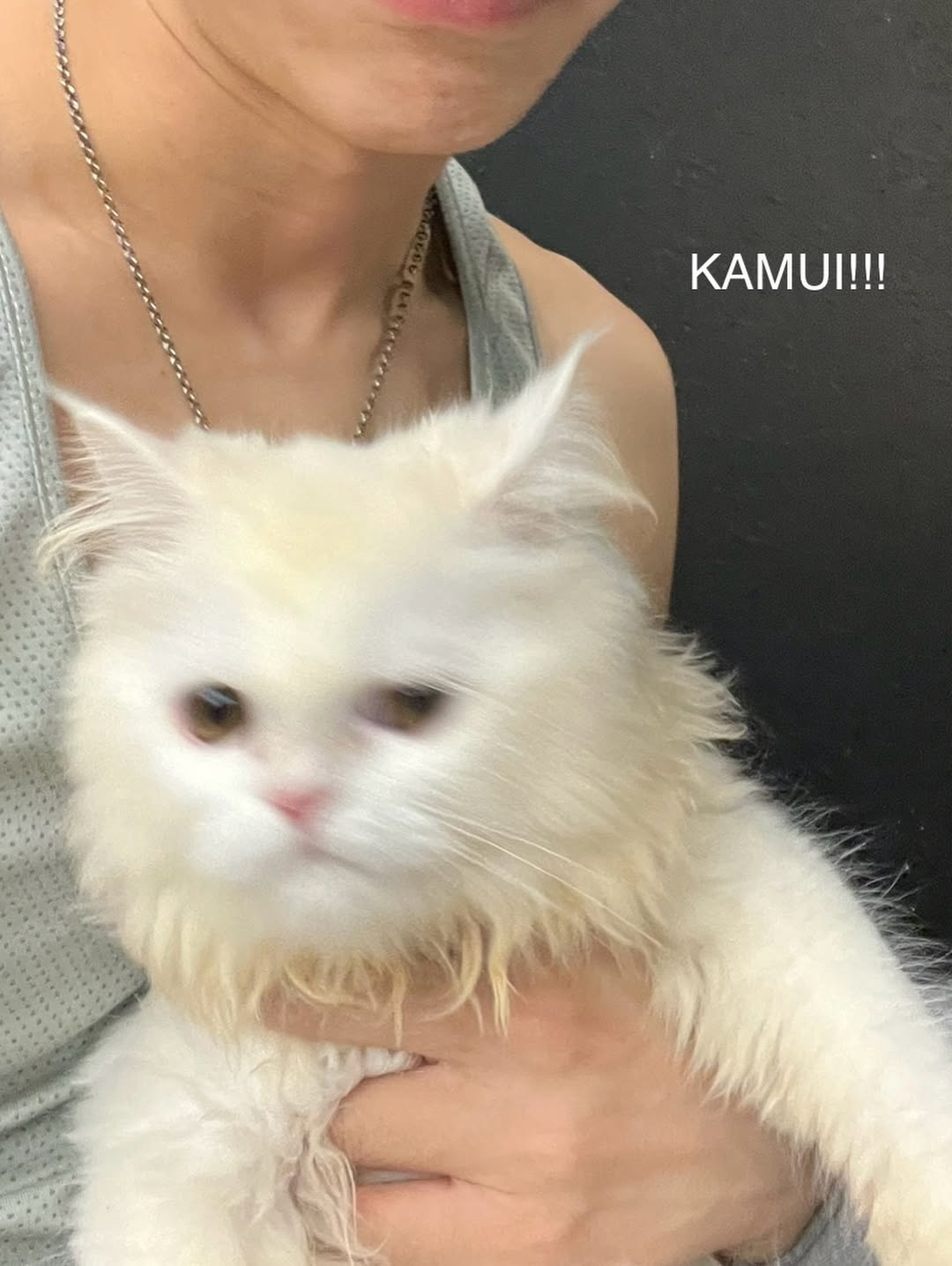 จั๋ง - วิกร บูรณภิญโญ