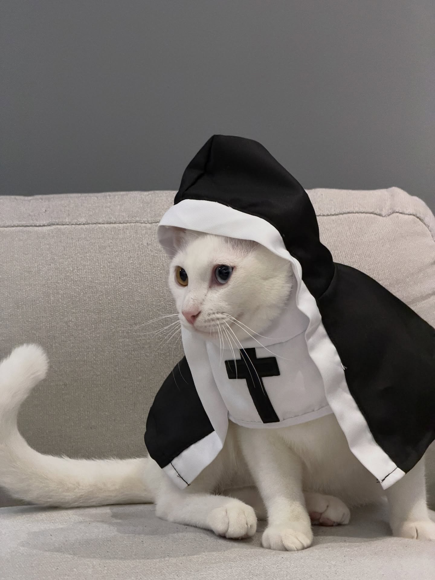 จั๋ง - วิกร บูรณภิญโญ