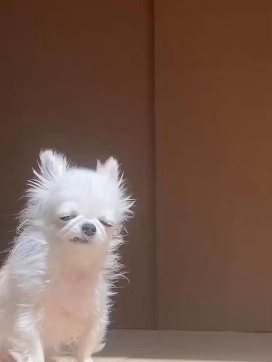 จั๋ง - วิกร บูรณภิญโญ