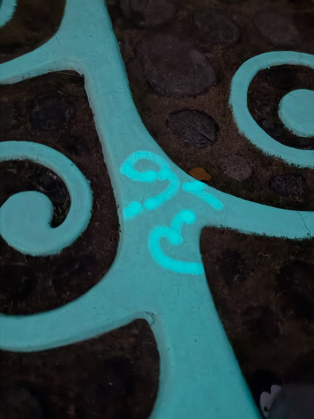 จั๋ง - วิกร บูรณภิญโญ