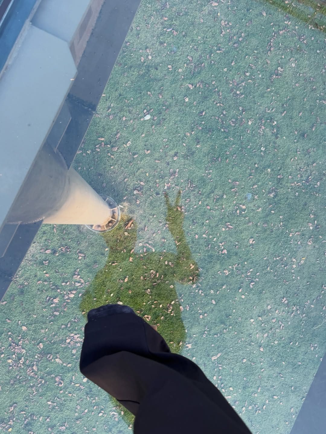 จั๋ง - วิกร บูรณภิญโญ