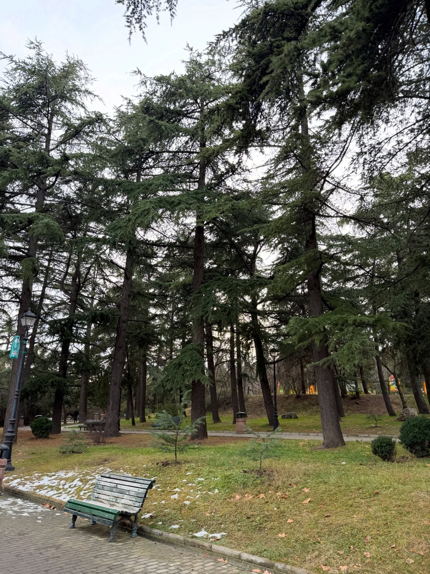 จั๋ง - วิกร บูรณภิญโญ