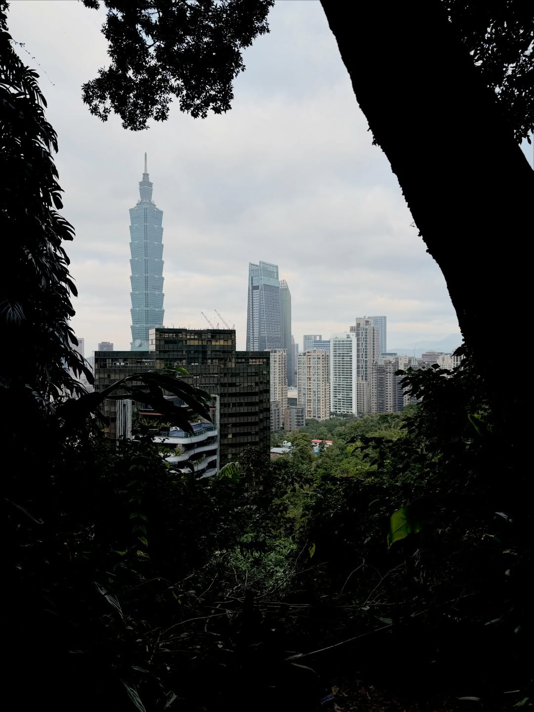 จั๋ง - วิกร บูรณภิญโญ