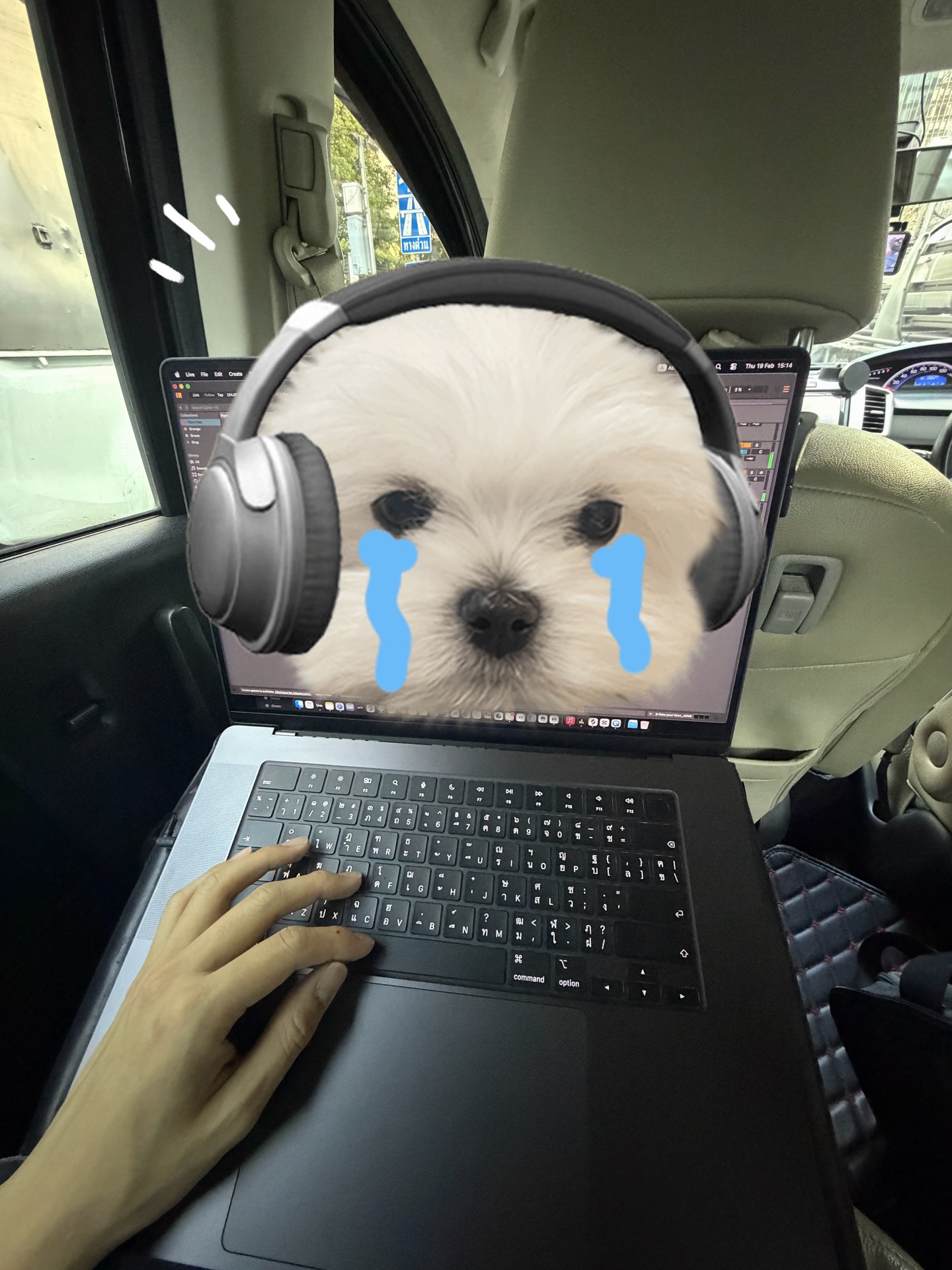 จั๋ง - วิกร บูรณภิญโญ